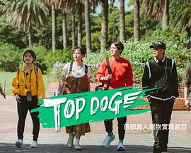 皇家华人《TOP DOG》免费在线观看