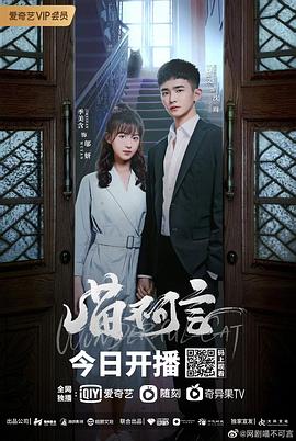 知阴视频《喵不可言》免费在线观看